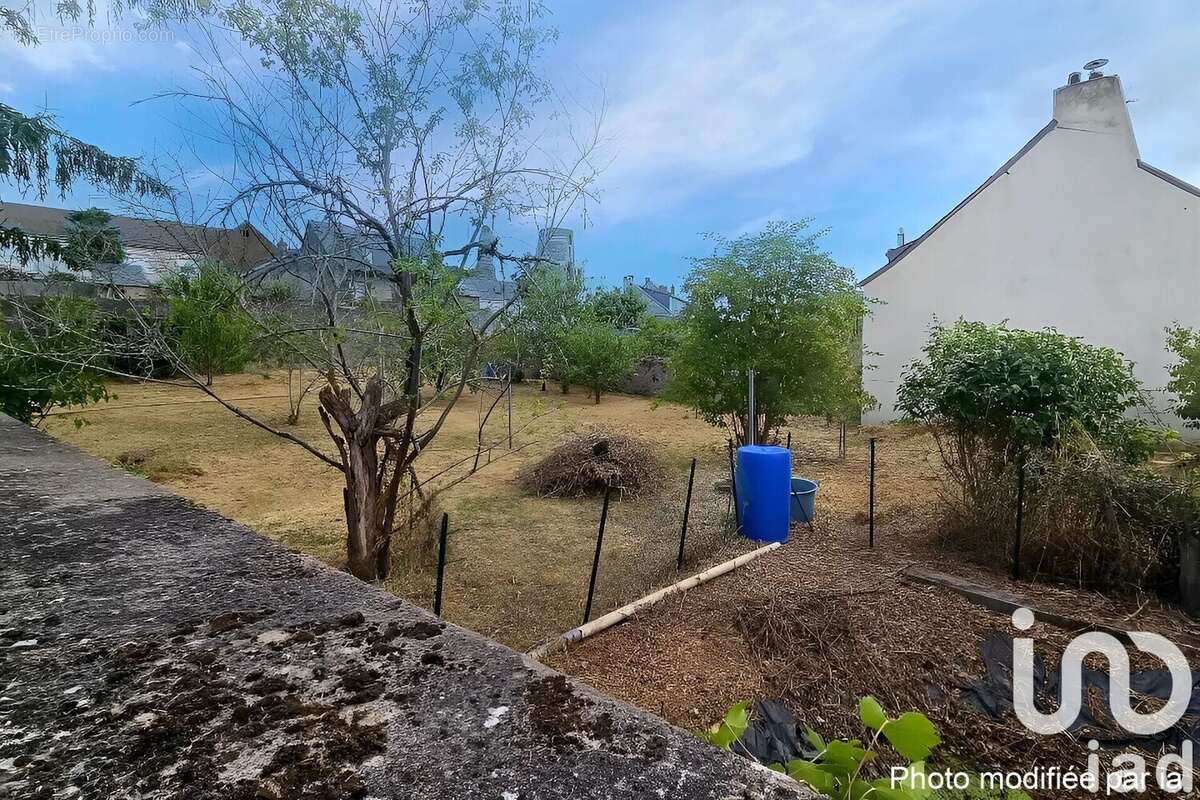 Photo 4 - Maison à CHAMPTOCE-SUR-LOIRE