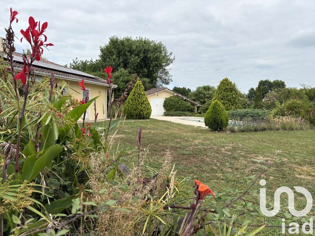 Photo 2 - Maison à HAGETMAU