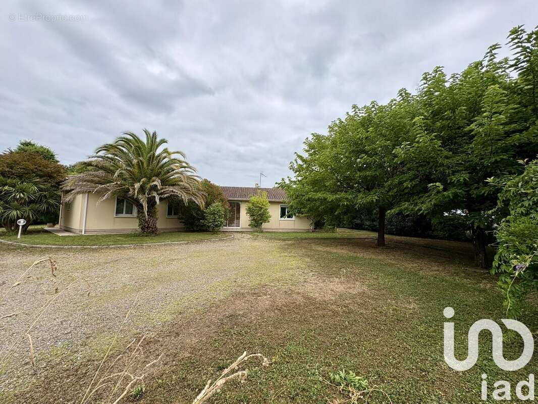 Photo 4 - Maison à HAGETMAU