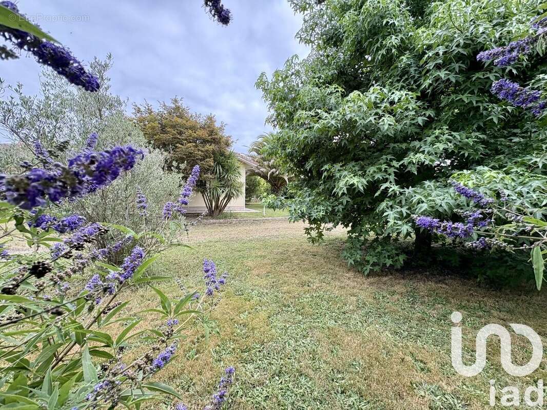 Photo 6 - Maison à HAGETMAU