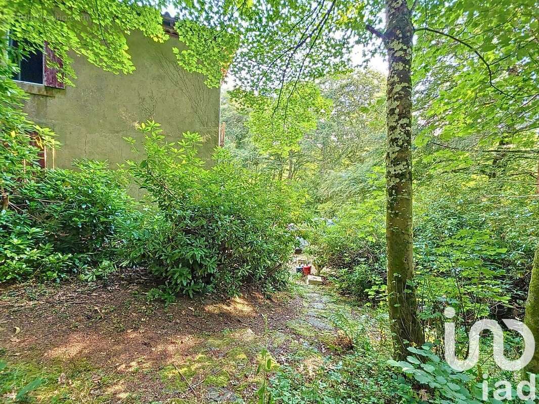 Photo 3 - Maison à LABASTIDE-ESPARBAIRENQUE