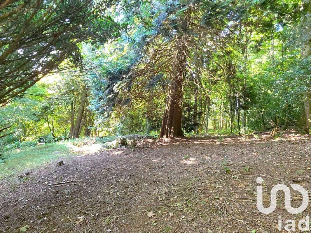 Photo 5 - Maison à LABASTIDE-ESPARBAIRENQUE