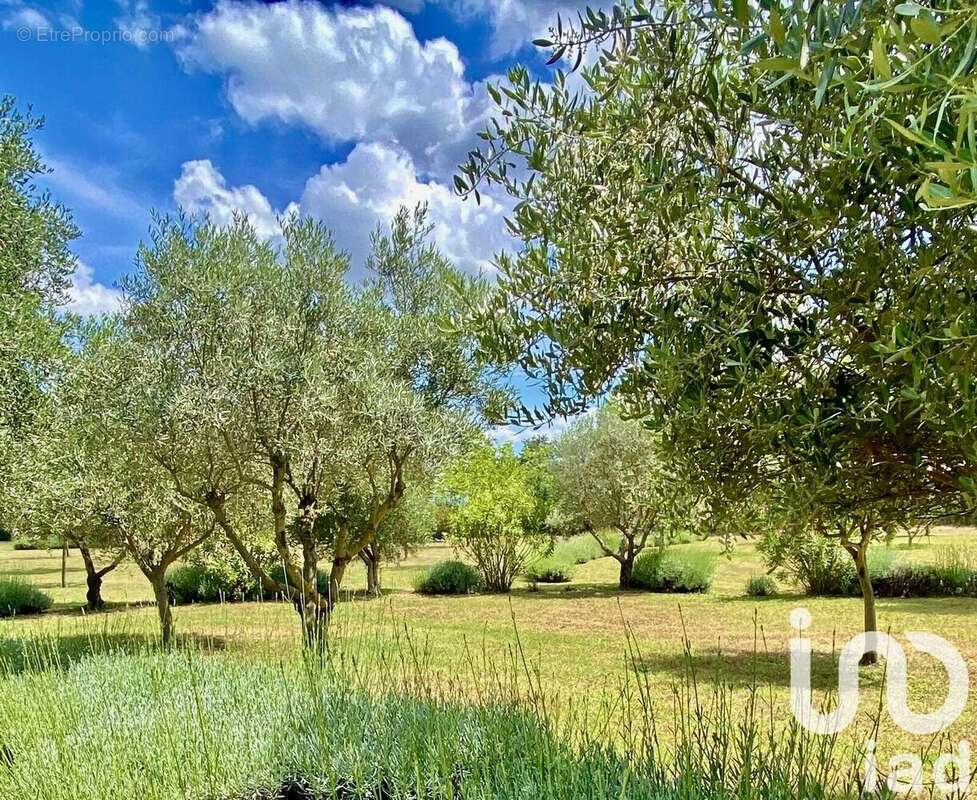 Photo 6 - Maison à LE CANNET-DES-MAURES