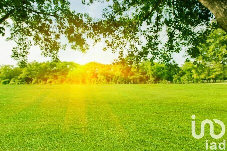 Photo 1 - Terrain à COURTISOLS