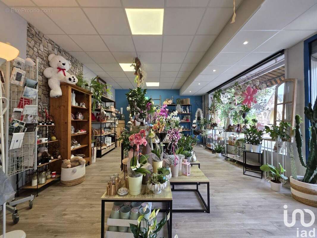 Photo 2 - Commerce à SARREGUEMINES