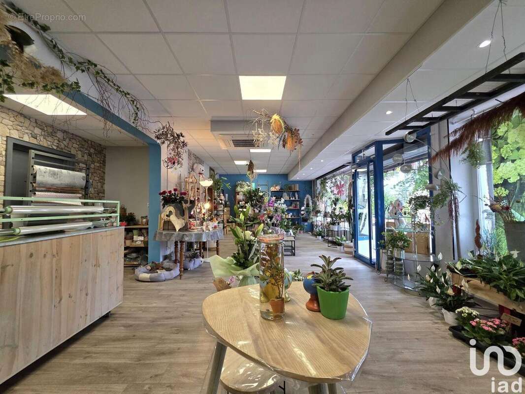 Photo 3 - Commerce à SARREGUEMINES