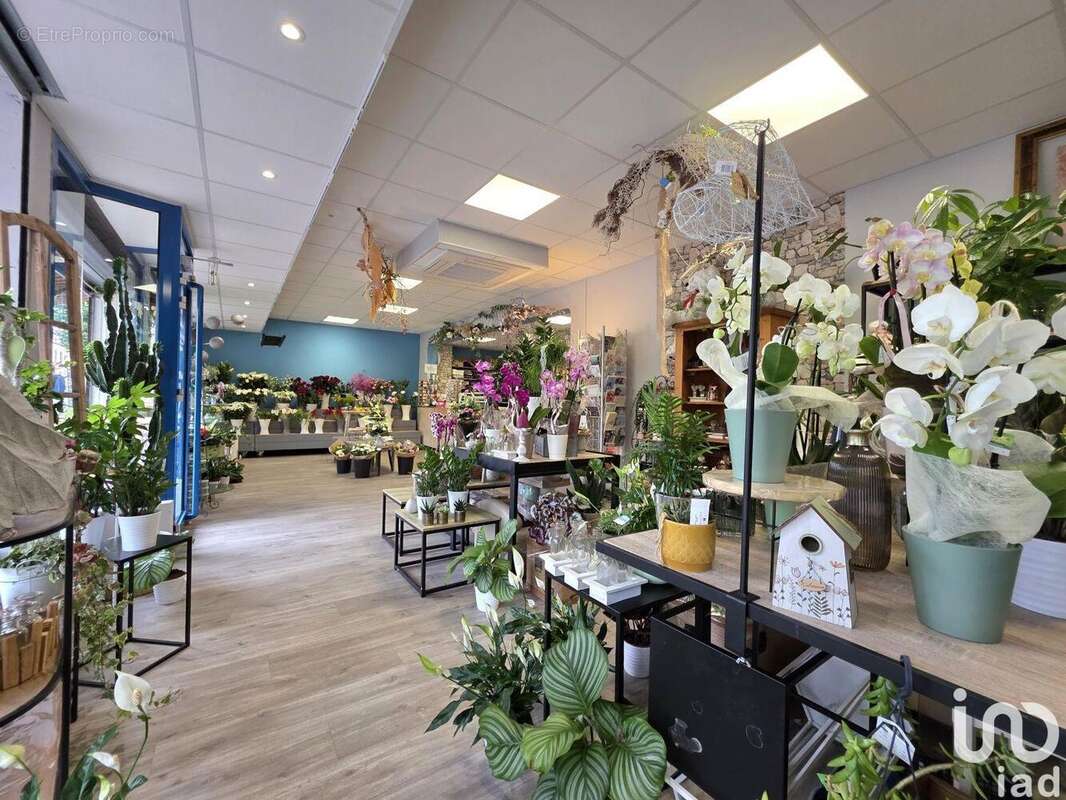 Photo 4 - Commerce à SARREGUEMINES