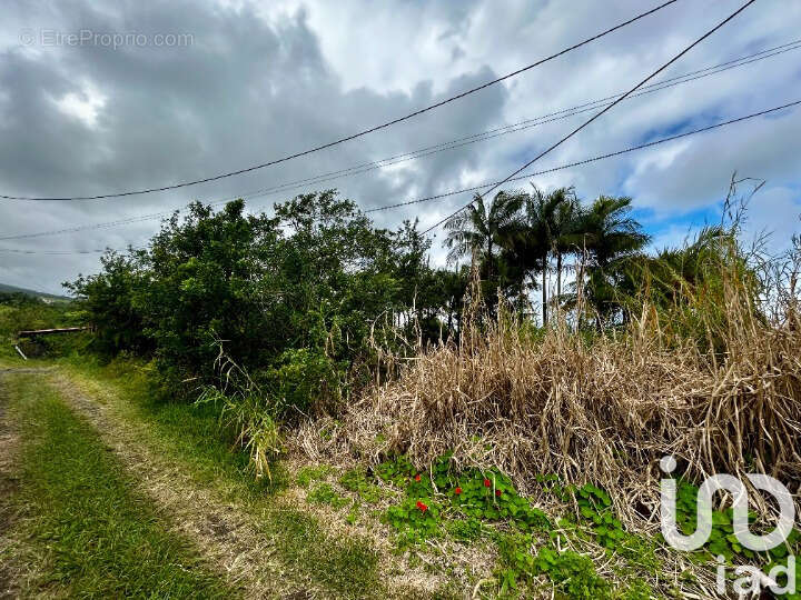 Photo 2 - Terrain à SAINT-JOSEPH