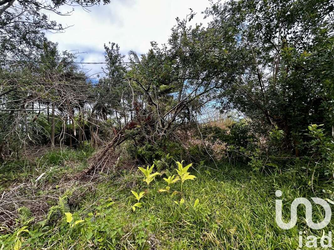 Photo 3 - Terrain à SAINT-JOSEPH