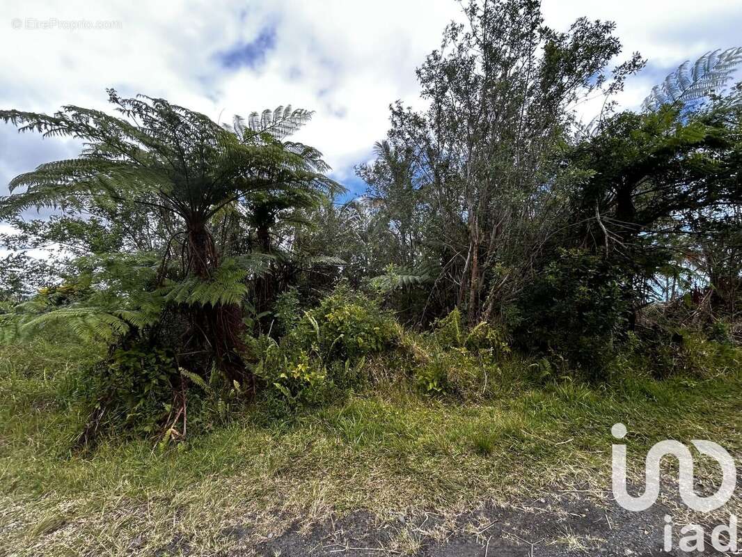 Photo 4 - Terrain à SAINT-JOSEPH