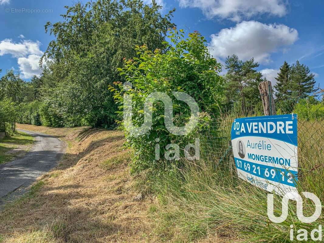 Photo 2 - Terrain à BELLOT