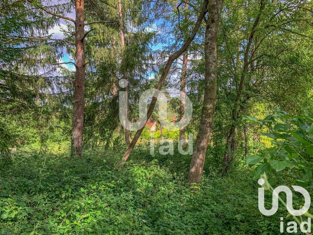 Photo 6 - Terrain à BELLOT