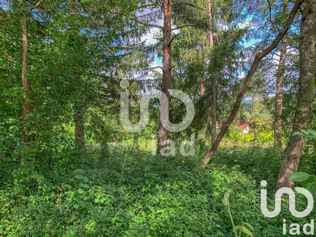 Photo 7 - Terrain à BELLOT