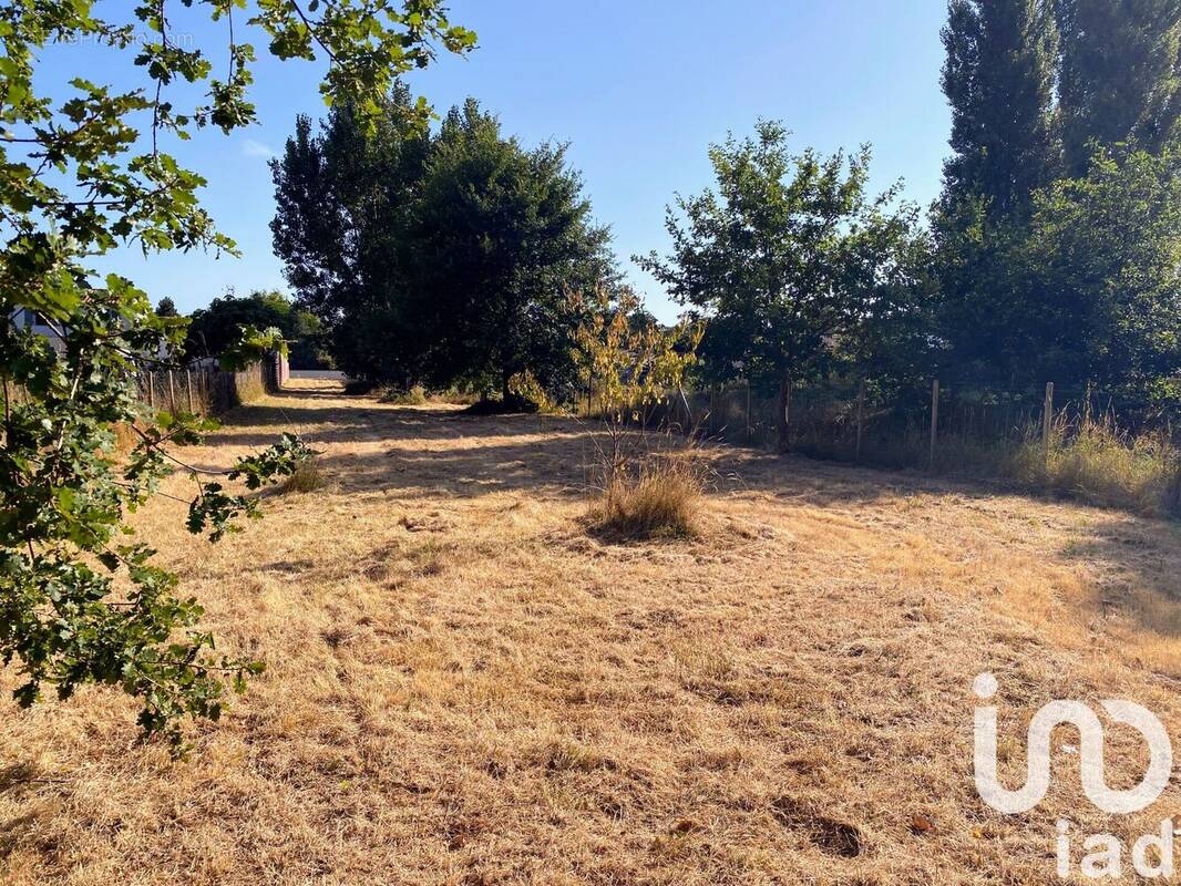 Photo 1 - Terrain à LE CHATEAU-D&#039;OLERON