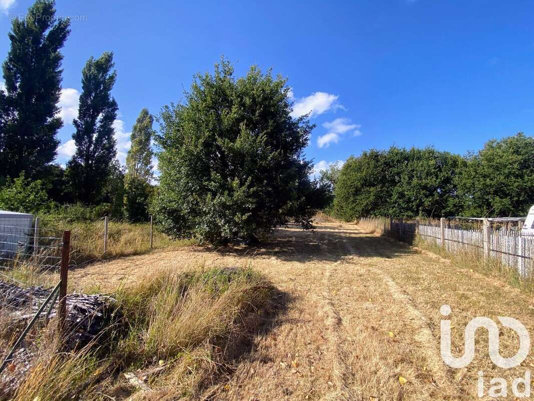 Photo 6 - Terrain à LE CHATEAU-D&#039;OLERON