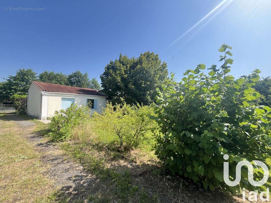 Photo 3 - Terrain à PESSAC