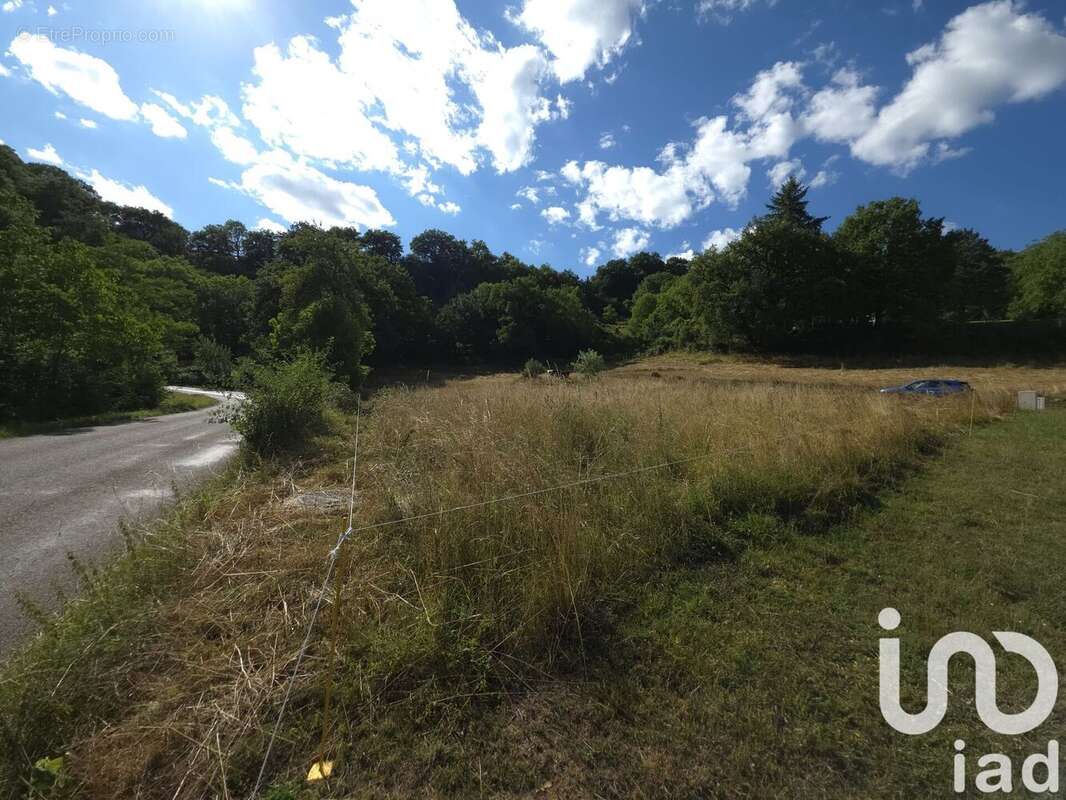 Photo 2 - Terrain à MURET-LE-CHATEAU