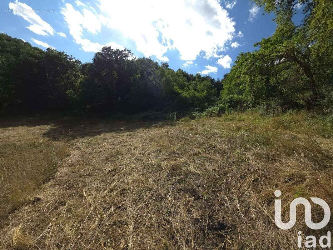 Photo 4 - Terrain à MURET-LE-CHATEAU