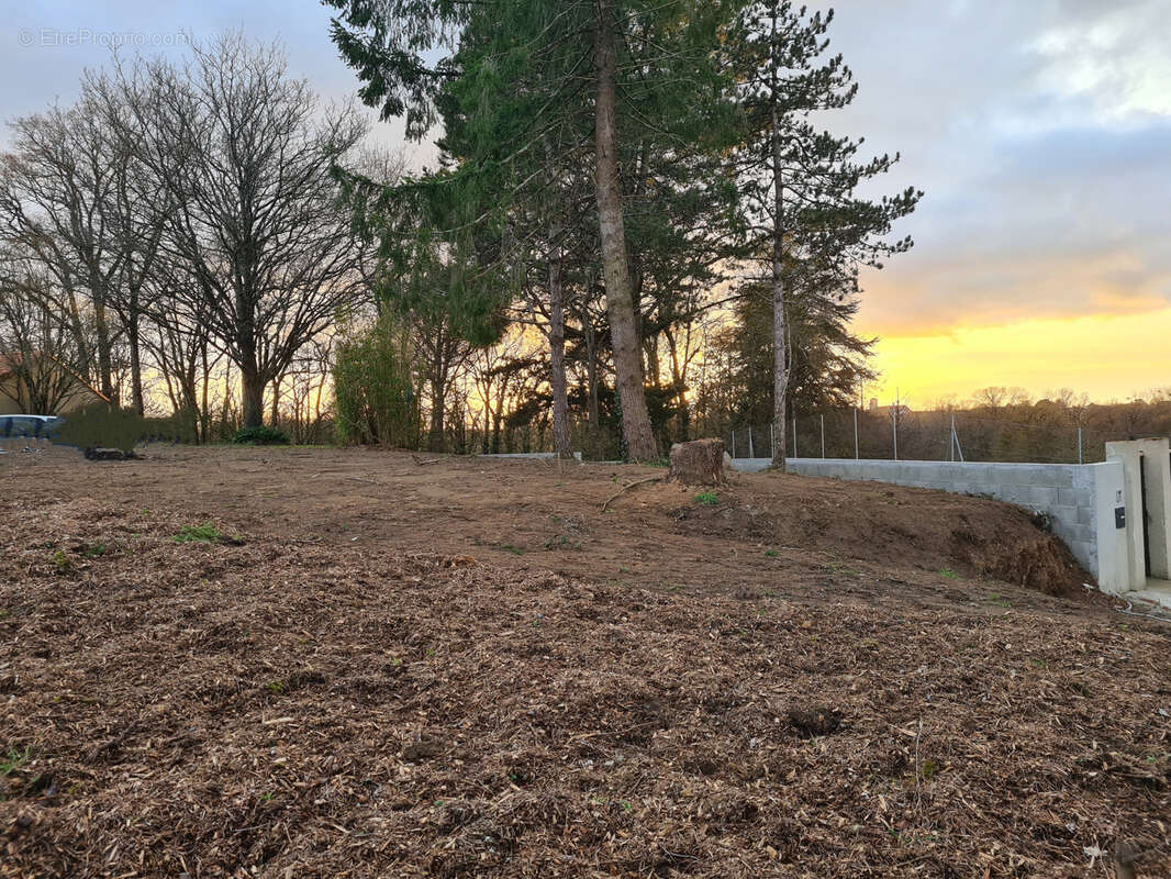 Terrain à LE PALLET