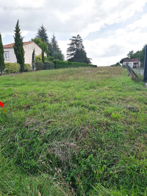 Terrain à MOUZILLON