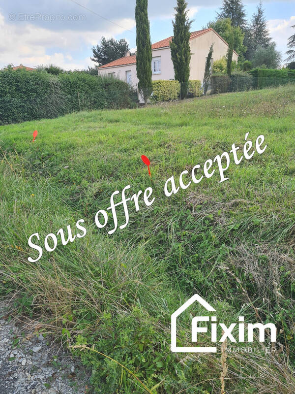 Terrain à MOUZILLON