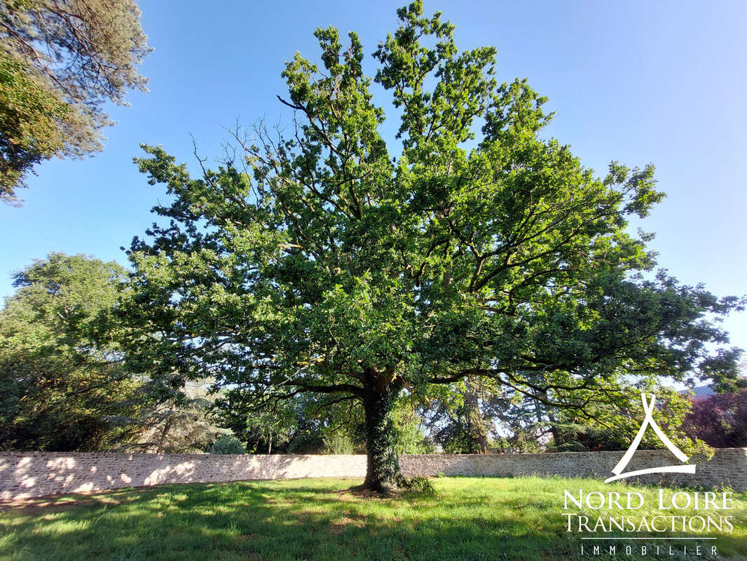 Maison à SAINTE-LUCE-SUR-LOIRE