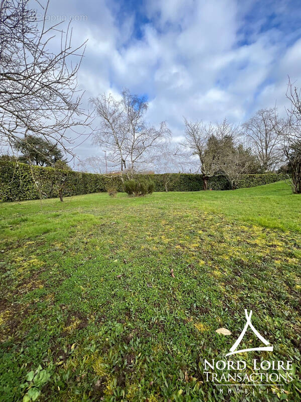 Terrain à SUCE-SUR-ERDRE