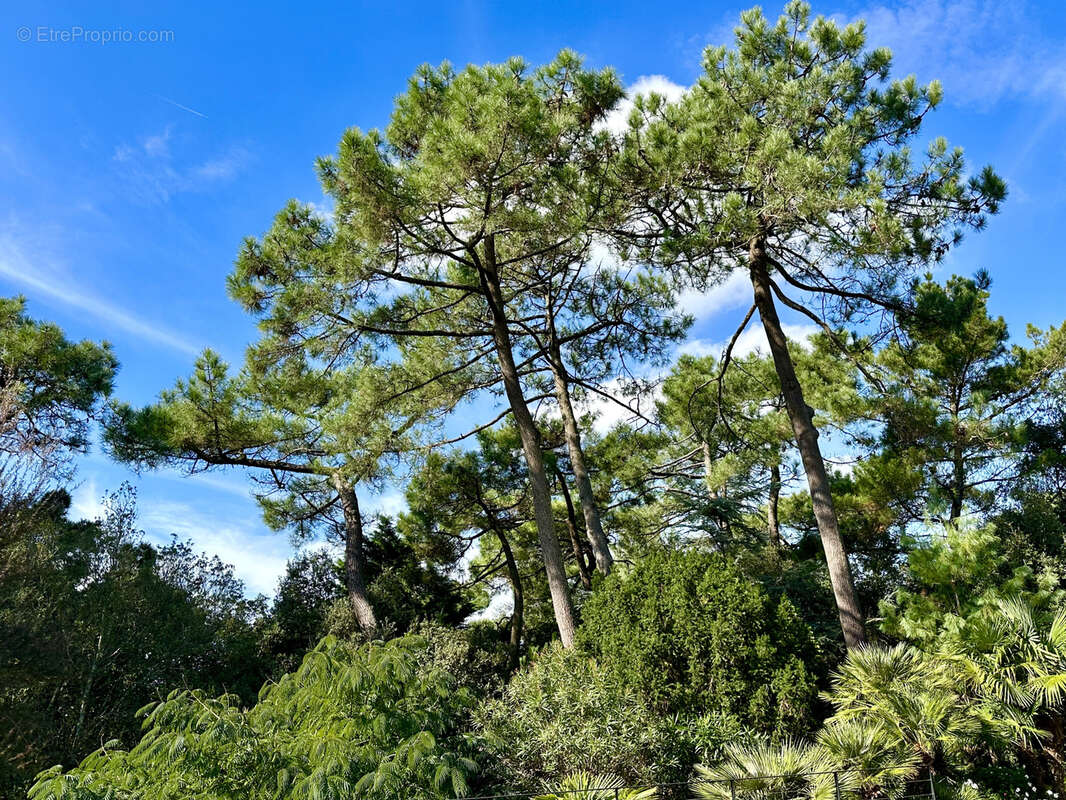Maison à LA BAULE-ESCOUBLAC
