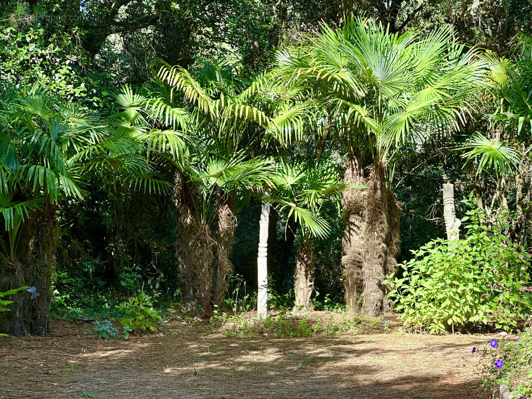 Maison à LA BAULE-ESCOUBLAC