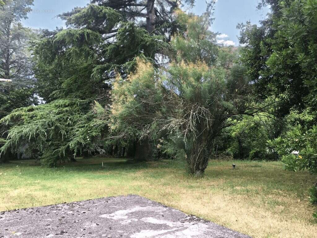 Maison à SAINT-PIERRE-DE-BAT