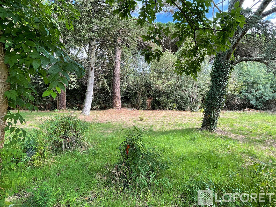 Terrain à LA TESTE-DE-BUCH