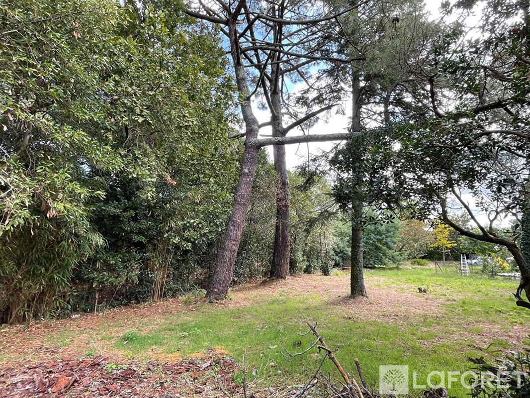 Terrain à LA TESTE-DE-BUCH