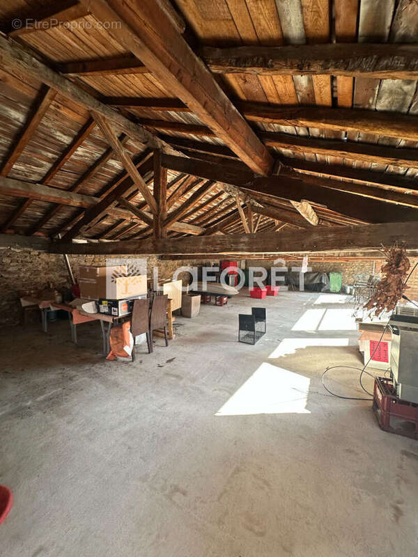 Appartement à SAINT-ANDRE-D&#039;APCHON