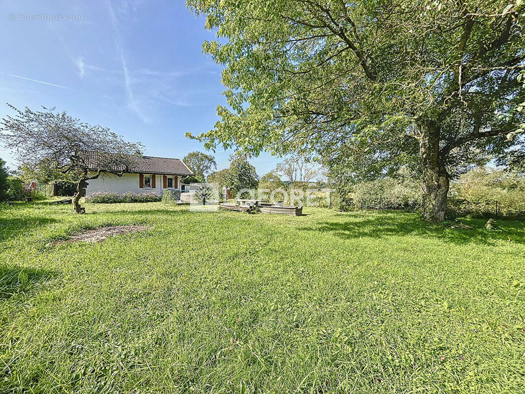 Maison à MAXEY-SUR-MEUSE