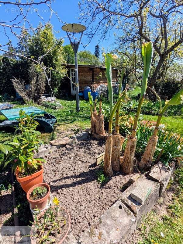 Maison à CHALON-SUR-SAONE