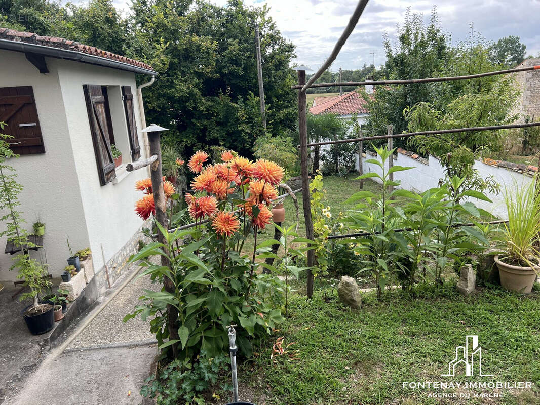 Maison à FONTENAY-LE-COMTE
