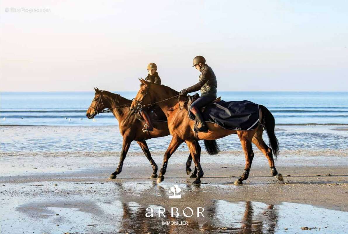 Appartement à BENERVILLE-SUR-MER