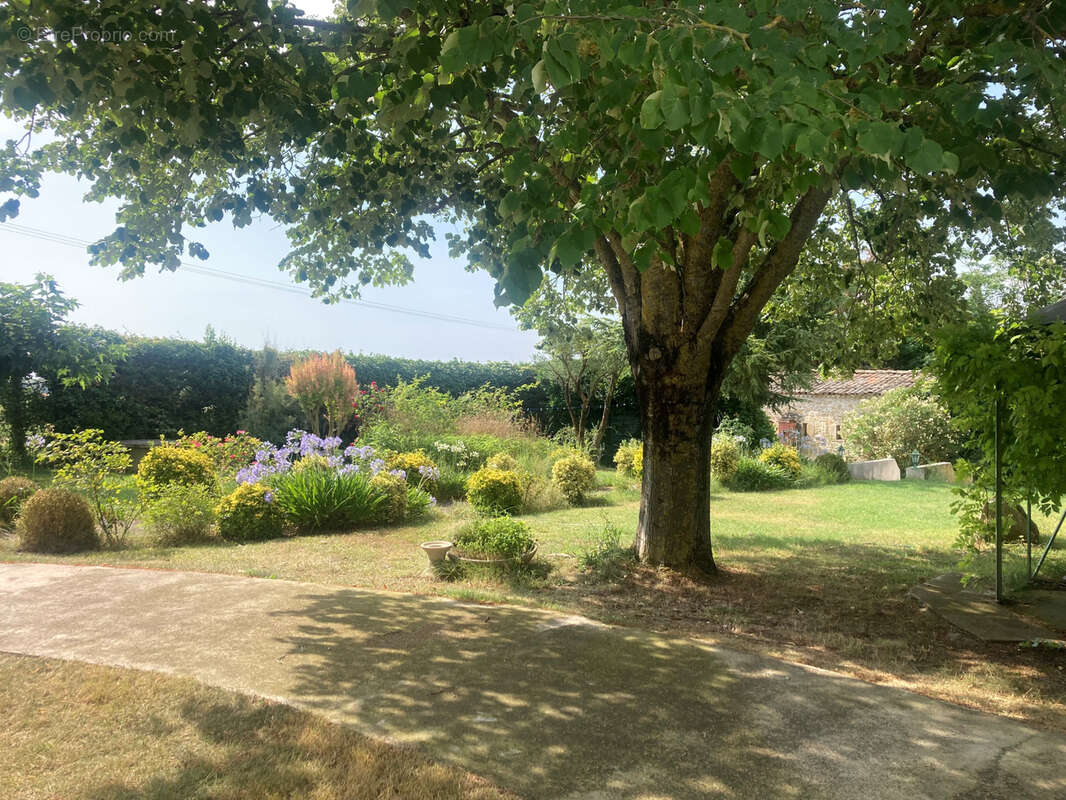 Maison à MAS-SAINTES-PUELLES