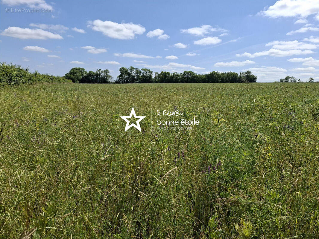 Terrain à CURCY-SUR-ORNE