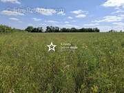 Terrain à CURCY-SUR-ORNE