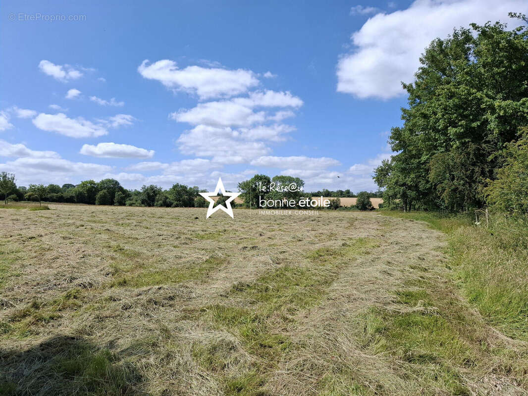Terrain à CURCY-SUR-ORNE
