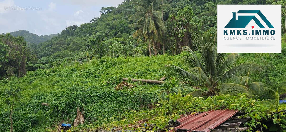 Terrain à LE LAMENTIN
