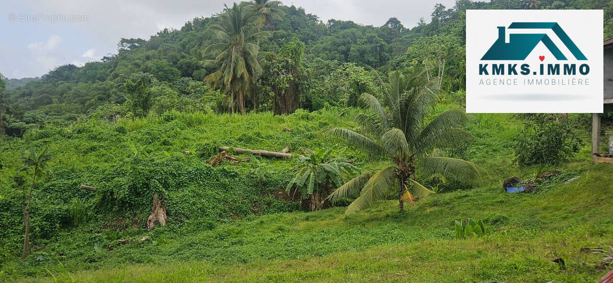 Terrain à LE LAMENTIN