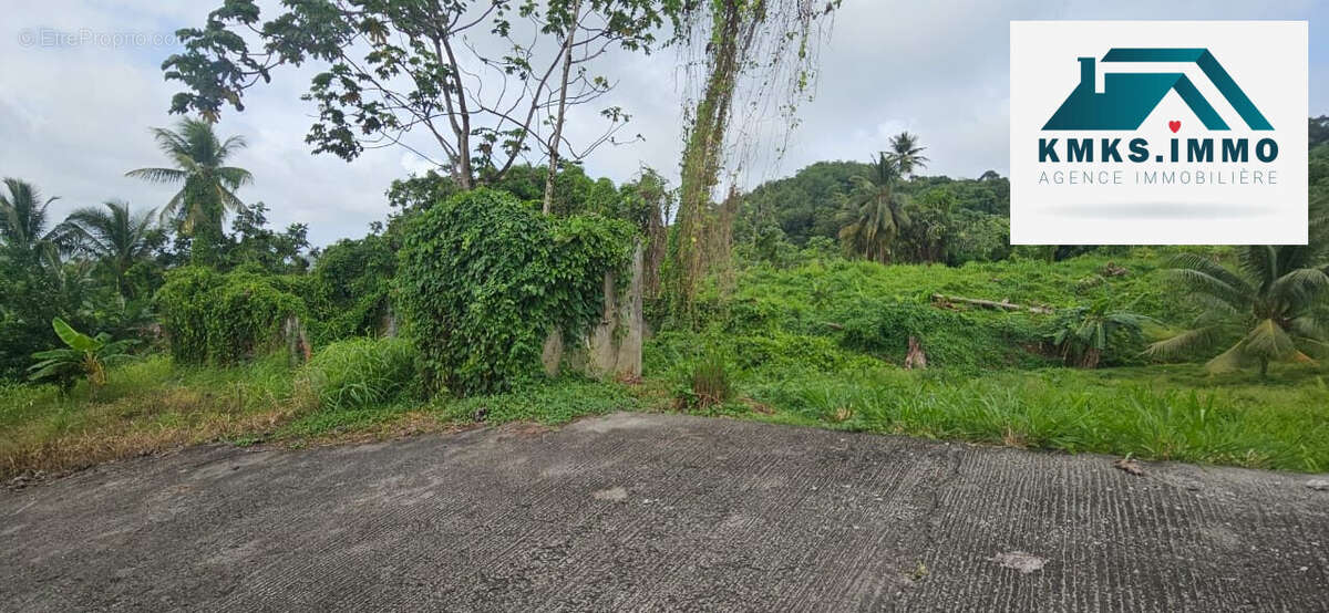 Terrain à LE LAMENTIN