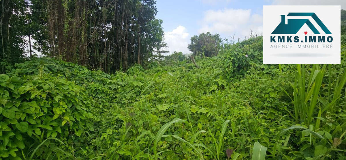 Terrain à LE LAMENTIN