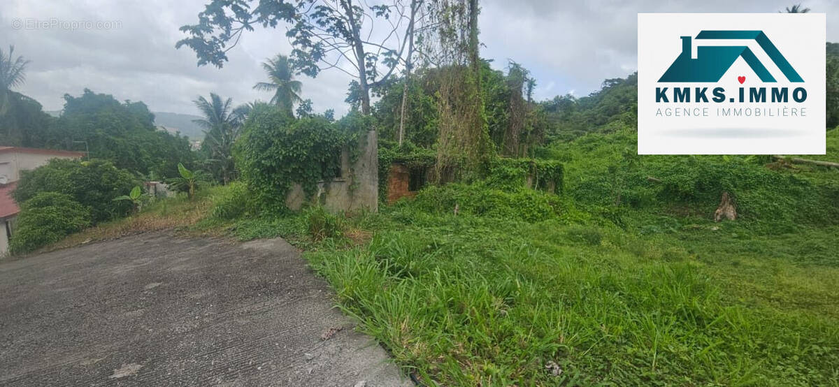 Terrain à LE LAMENTIN