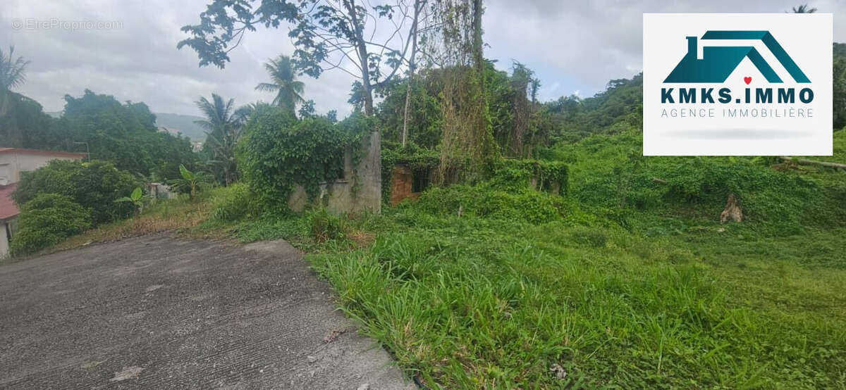 Terrain à LE LAMENTIN