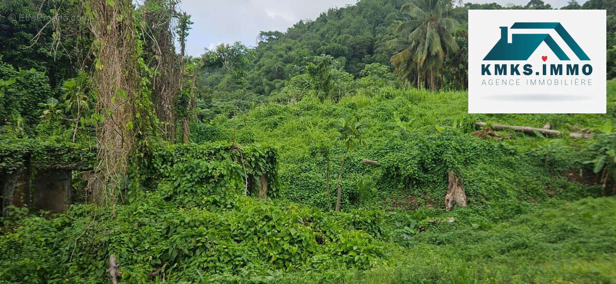 Terrain à LE LAMENTIN