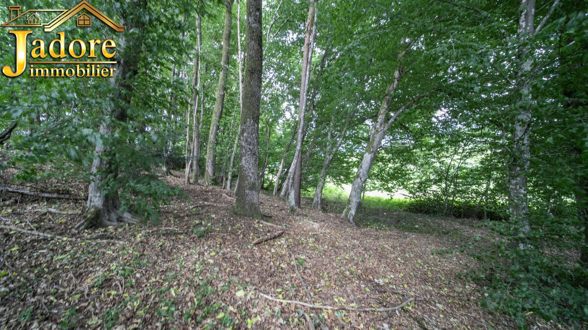 Maison à SAINTE-MARGUERITE