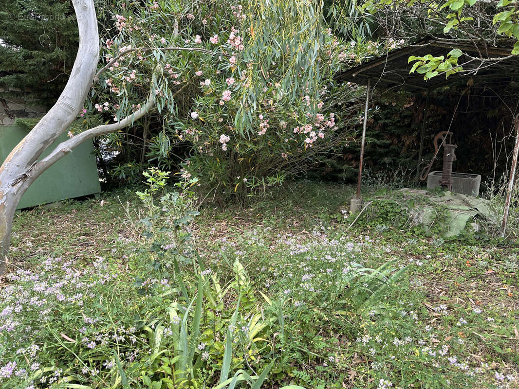 Maison à L&#039;ISLE-EN-DODON